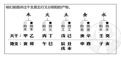 全阳八字|八字全阳是什么意思 命运如何